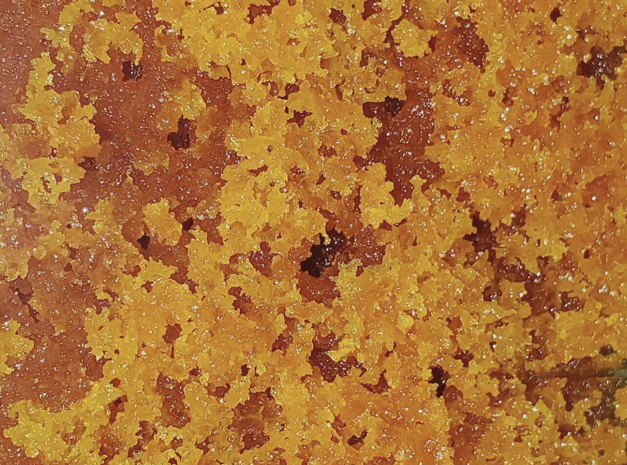 Juicer Extractions Home